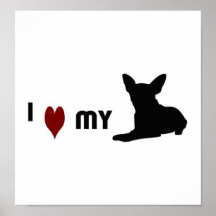 Póster Amo a mi Chihuahua