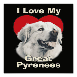 Póster Amo a mi gran perro Pirineos