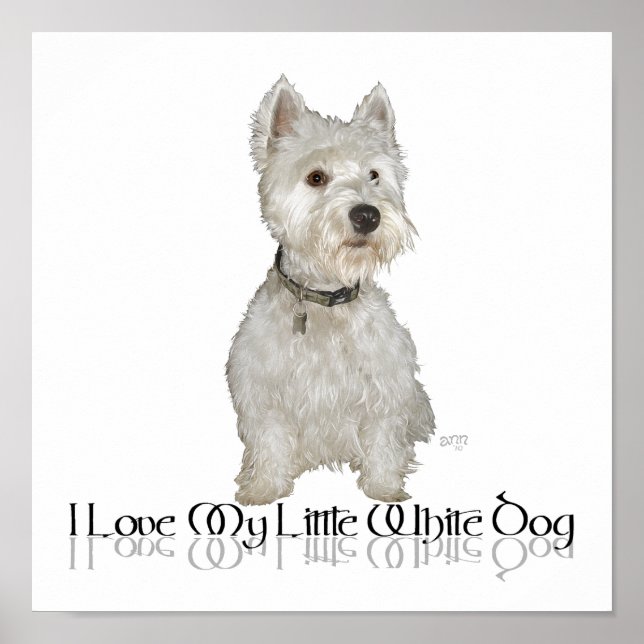 Póster Amo a mi pequeño perro blanco - Westie (Frente)