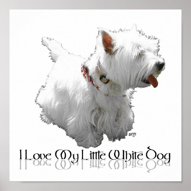 Póster Amo a mi pequeño perro blanco - Westie (Frente)