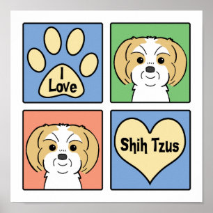 Póster Amo a Shih Tzus