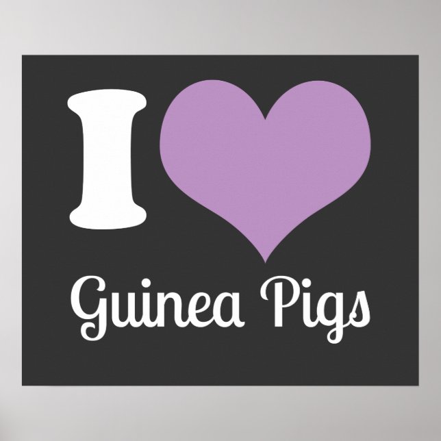 Póster Amo al Poster de cerdos de Guinea (Frente)