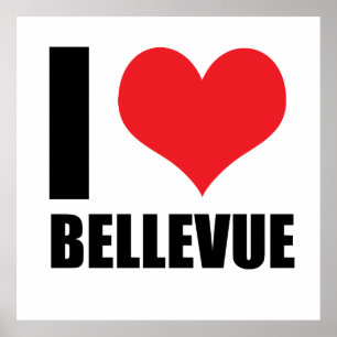 Póster Amo Bellevue