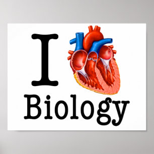 Póster Amo biología
