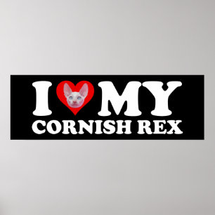 Póster Amo (Corazón) a mi Cornish Rex