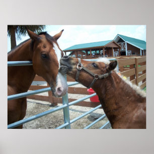 Póster Amo de Caballo Oeste Caballos Caballos Poster Ecue
