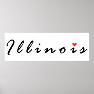 Póster Amo Illinois