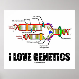 Póster Amo la genética (replicación del ADN)