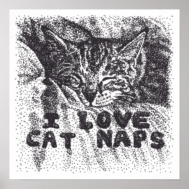 Póster Amo las siestas de gato, gato durmiendo (Frente)