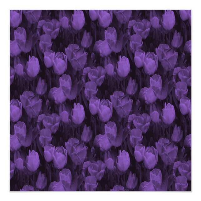 Póster Amo Lavanda... (Anverso)