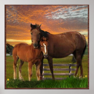 Póster Amo los Caballos
