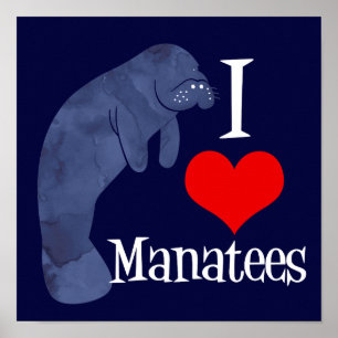 Póster Amo Manatees