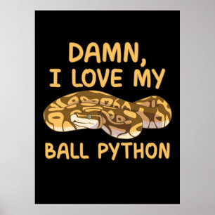 Póster Amo Mi Ball Python