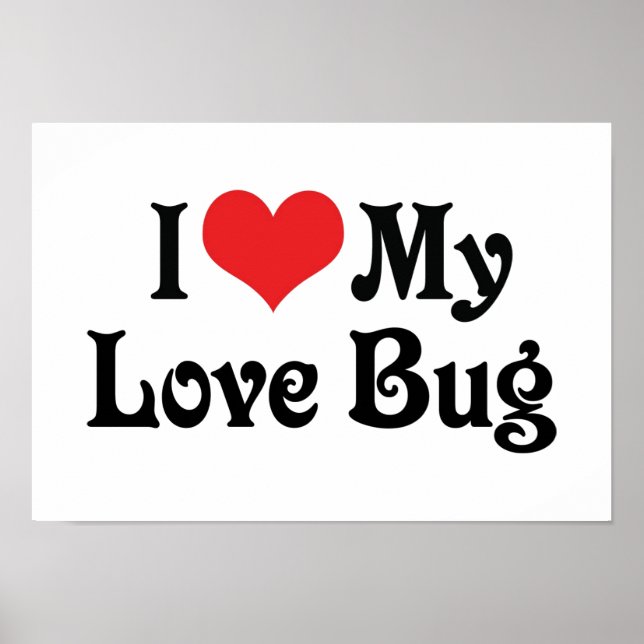 Póster Amo Mi Bug De Amor (Frente)
