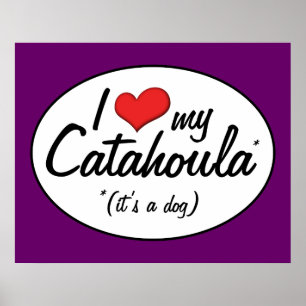 Póster Amo mi Catahoula (es un perro)
