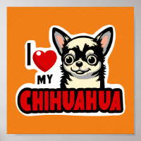 Amo mi Chihuahua