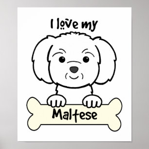Póster Amo Mi Maltés