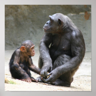 Póster Amo mi mamá