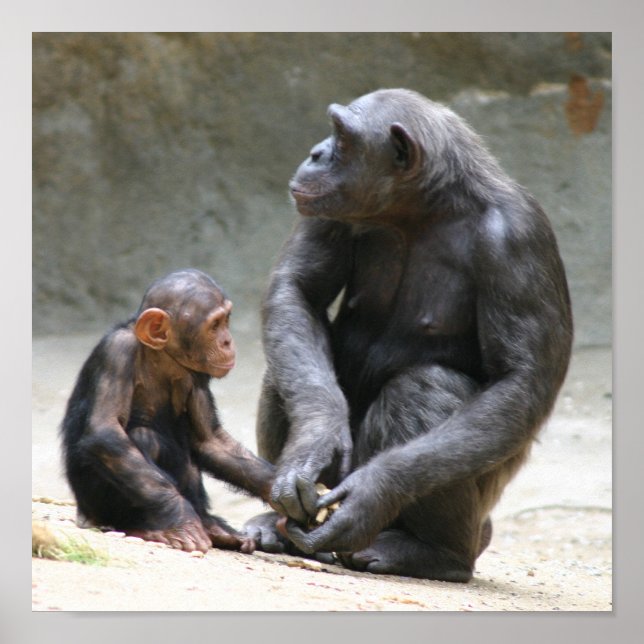 Póster Amo mi mamá (Frente)