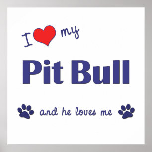 Póster Amo mi pitbull (el perro masculino)