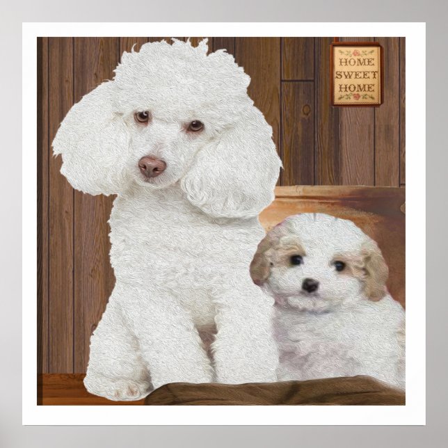 Póster Amo mi Poodle (Frente)