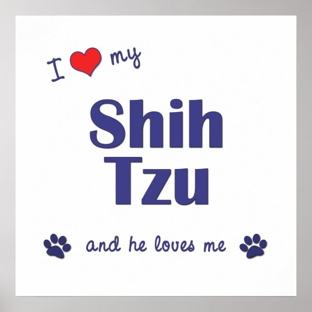 Póster Amo Mi Shih Tzu (Perro Masculino) (Frente)