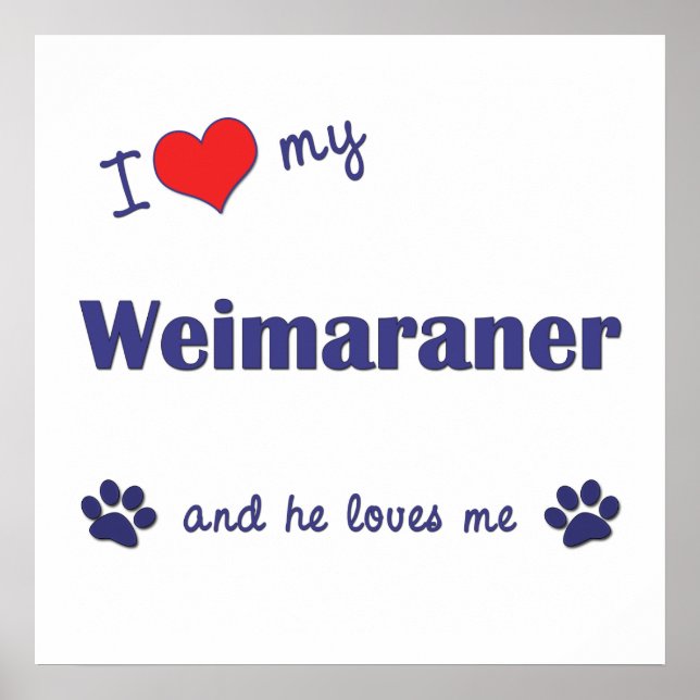 Póster Amo Mi Weimaraner (Perro Masculino) (Frente)