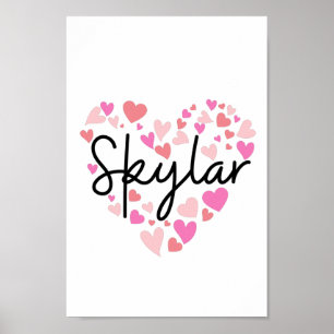 Póster Amo Skylar