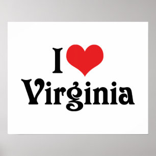 Póster Amo Virginia