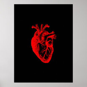 Póster Amo / Yo la anatomía cardiaca