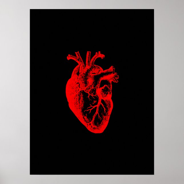 Póster Amo / Yo la anatomía cardiaca (Frente)