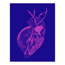 Amoeba Minx: Pétalos de orquídeas