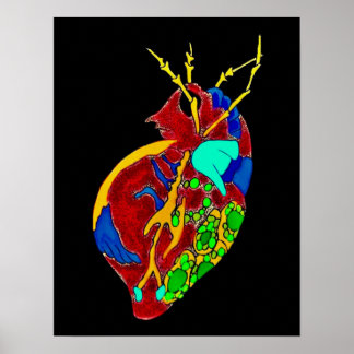 Póster Amoeba Minx: Todos los tontos