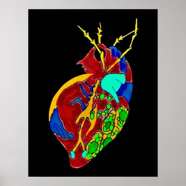 Póster Amoeba Minx: Todos los tontos (Frente)