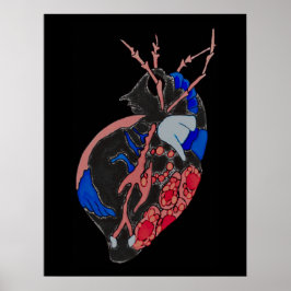 Póster Amoeba Minx: venas y buques