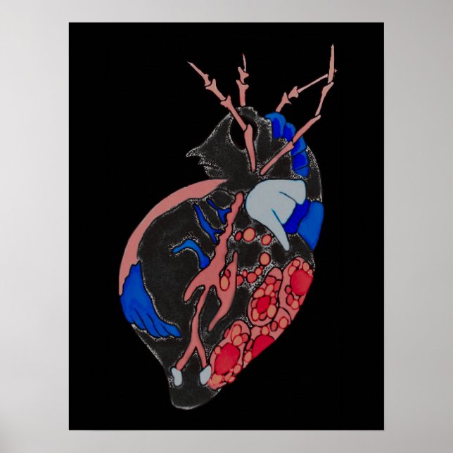 Póster Amoeba Minx: venas y buques (Frente)