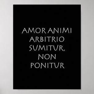 Póster Amor