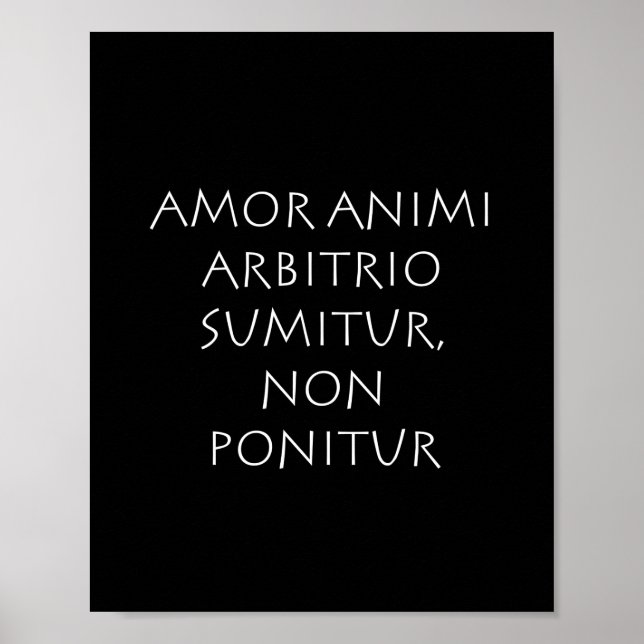 Póster Amor (Frente)