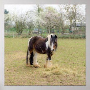 Póster Amor a caballo - lindo Tinker