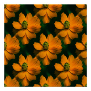 Póster Amor a la luz del sol...