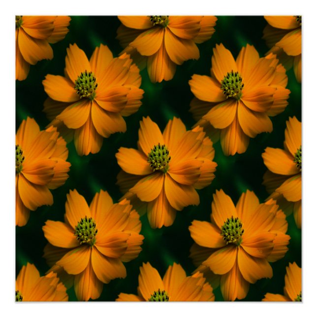 Póster Amor a la luz del sol... (Anverso)