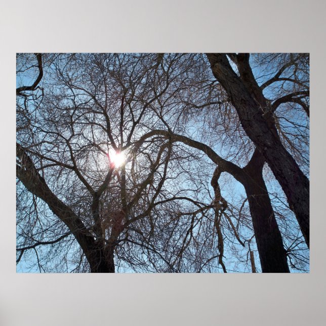 Póster Amor a la Naturaleza (Frente)