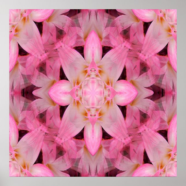 Póster Amor Amaryllis... (Frente)