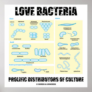 Póster Amor Bacteria Distribuidores Prolíficos De Cultura