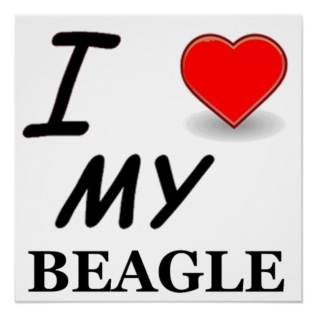 Póster amor beagle (Anverso)