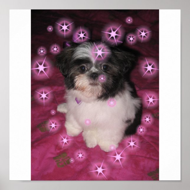 Póster Amor Cachorro - Poster (Frente)