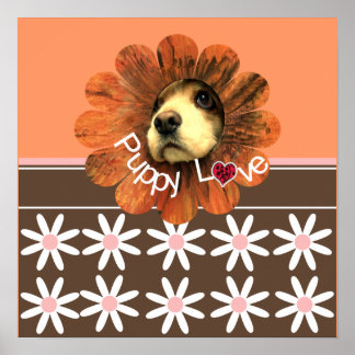 Póster Amor de Cachorro