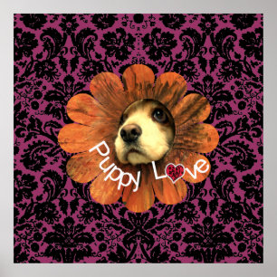 Póster Amor de Cachorro
