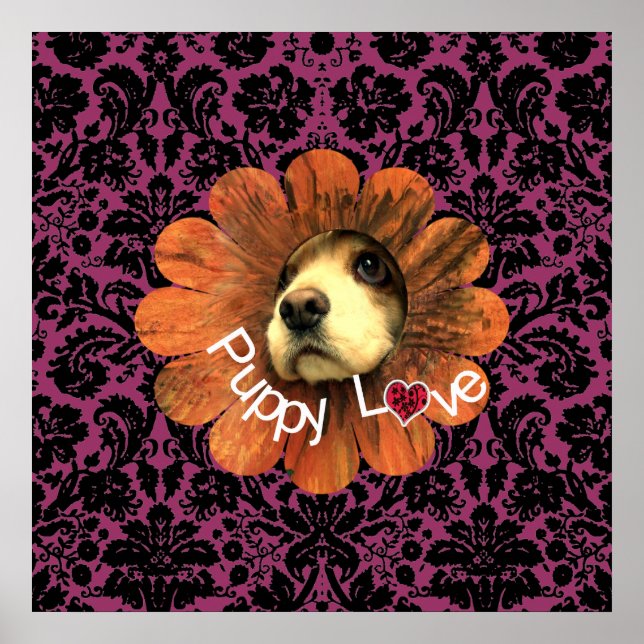 Póster Amor de Cachorro (Frente)
