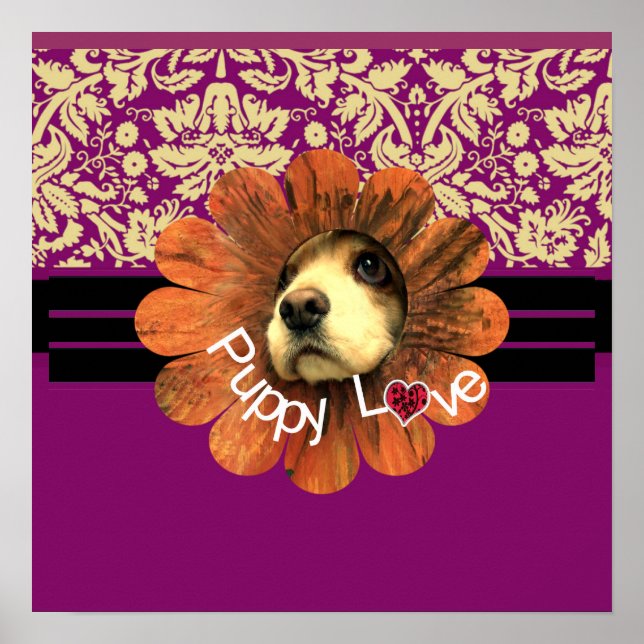 Póster Amor de Cachorro (Frente)